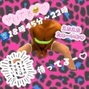 ヒメ日記 2025/02/25 19:02 投稿 ぎゃる 日暮里・西日暮里サンキュー