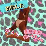 ヒメ日記 2025/02/26 12:21 投稿 ぎゃる 日暮里・西日暮里サンキュー