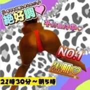 ヒメ日記 2025/03/06 21:51 投稿 ぎゃる 日暮里・西日暮里サンキュー