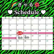 ヒメ日記 2025/03/11 19:21 投稿 ぎゃる 日暮里・西日暮里サンキュー