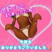 ヒメ日記 2025/03/26 05:31 投稿 ぎゃる 日暮里・西日暮里サンキュー