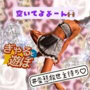 ヒメ日記 2025/03/26 23:41 投稿 ぎゃる 日暮里・西日暮里サンキュー