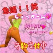 ヒメ日記 2025/04/08 01:37 投稿 ぎゃる 日暮里・西日暮里サンキュー