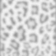 ヒメ日記 2025/06/08 06:01 投稿 ぎゃる 日暮里・西日暮里サンキュー