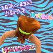 ヒメ日記 2025/06/26 14:21 投稿 ぎゃる 日暮里・西日暮里サンキュー