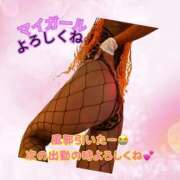 ヒメ日記 2025/10/25 04:06 投稿 ぎゃる 日暮里・西日暮里サンキュー