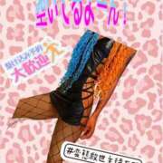 ヒメ日記 2025/12/29 04:01 投稿 ぎゃる 日暮里・西日暮里サンキュー