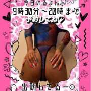 ヒメ日記 2026/02/28 07:51 投稿 ぎゃる 日暮里・西日暮里サンキュー