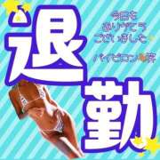 ヒメ日記 2026/05/19 10:21 投稿 ぎゃる 日暮里・西日暮里サンキュー