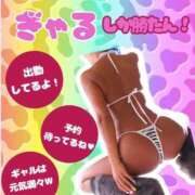 ヒメ日記 2026/06/11 01:11 投稿 ぎゃる 日暮里・西日暮里サンキュー