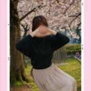 ヒメ日記 2025/05/12 13:10 投稿 みこと 逢って30秒で即尺