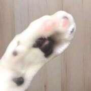 ヒメ日記 2025/10/18 18:05 投稿 みこと 逢って30秒で即尺