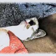 ヒメ日記 2025/10/19 22:00 投稿 みこと 逢って30秒で即尺