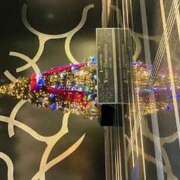 ヒメ日記 2025/11/20 18:12 投稿 みこと 逢って30秒で即尺