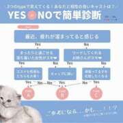 ヒメ日記 2025/07/17 19:26 投稿 ことは 快楽玉乱堂