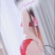 ヒメ日記 2025/12/26 15:10 投稿 はづき 水戸人妻花壇