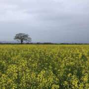 ヒメ日記 2025/05/02 21:17 投稿 香坂 美波☆現役OL MARVELOUS