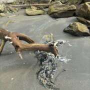 ヒメ日記 2025/10/06 21:06 投稿 香坂 美波☆現役OL MARVELOUS