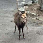 ヒメ日記 2026/02/24 23:18 投稿 香坂 美波☆現役OL MARVELOUS