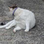 ヒメ日記 2025/06/17 23:52 投稿 かなこ 人妻美人館