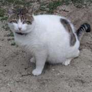 ヒメ日記 2025/07/02 18:58 投稿 かなこ 人妻美人館