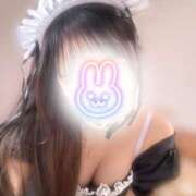 ヒメ日記 2024/12/15 06:33 投稿 にこる 素敵な女の子は好きですか？