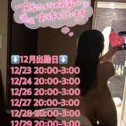 ヒメ日記 2024/12/19 19:30 投稿 にこる 素敵な女の子は好きですか？