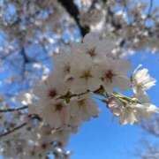 ヒメ日記 2025/04/04 17:33 投稿 にこる 素敵な女の子は好きですか？