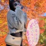 ヒメ日記 2025/11/04 20:33 投稿 にこる 素敵な女の子は好きですか？