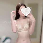 ヒメ日記 2025/04/22 12:54 投稿 羽川つばさ ブルーバード