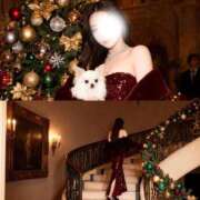 ヒメ日記 2025/12/22 14:44 投稿 羽川つばさ ブルーバード