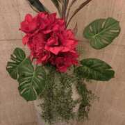 ヒメ日記 2025/11/26 02:00 投稿 えも 大塚デリ姫