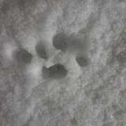 ヒメ日記 2026/02/08 22:54 投稿 えも 大塚デリ姫