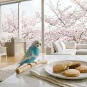 ヒメ日記 2026/02/28 12:19 投稿 えも 大塚デリ姫