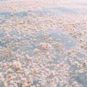 ヒメ日記 2026/03/06 12:36 投稿 えも 大塚デリ姫