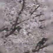 ヒメ日記 2026/03/30 10:57 投稿 えも 大塚デリ姫