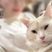 ヒメ日記 2024/12/18 19:17 投稿 れお チューリップ姫路店