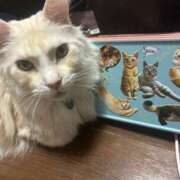 ヒメ日記 2025/02/14 20:25 投稿 れお チューリップ姫路店