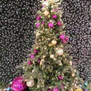 ヒメ日記 2025/12/07 20:52 投稿 沖田 東京セレブな美人妻