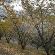 ヒメ日記 2024/12/14 23:34 投稿 黛 ゆい Sチャンネル