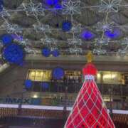 ヒメ日記 2024/12/21 19:53 投稿 黛 ゆい Sチャンネル