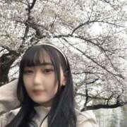 ヒメ日記 2025/04/10 11:55 投稿 なこ Salon du M-えっちなお姉さんのM性感デリバリー-五反田店