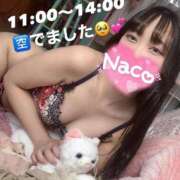 ヒメ日記 2025/05/06 10:42 投稿 なこ Salon du M-えっちなお姉さんのM性感デリバリー-五反田店