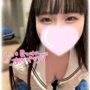 ヒメ日記 2025/04/15 12:17 投稿 こすも ていくぷらいど.学園