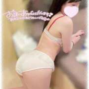 ヒメ日記 2025/04/20 18:25 投稿 こすも ていくぷらいど.学園