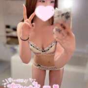 ヒメ日記 2025/11/15 17:07 投稿 こすも ていくぷらいど.学園