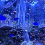 ヒメ日記 2025/02/13 19:55 投稿 椎名 人妻風俗チャンネル