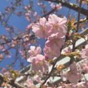 ヒメ日記 2025/02/27 21:38 投稿 椎名 人妻風俗チャンネル