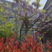 ヒメ日記 2025/04/18 14:07 投稿 椎名 人妻風俗チャンネル