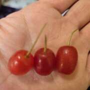 ヒメ日記 2025/05/29 12:03 投稿 椎名 人妻風俗チャンネル